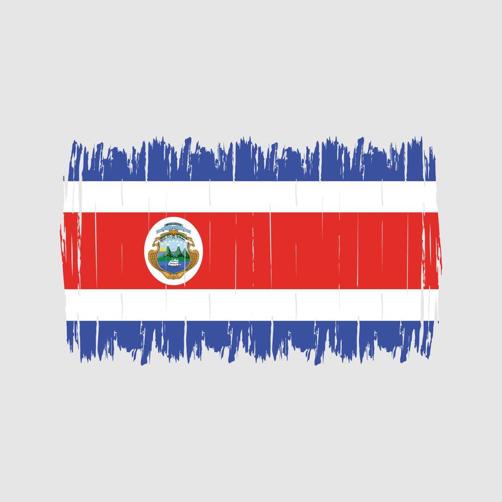 Bürste mit Costa-Rica-Flagge vektor