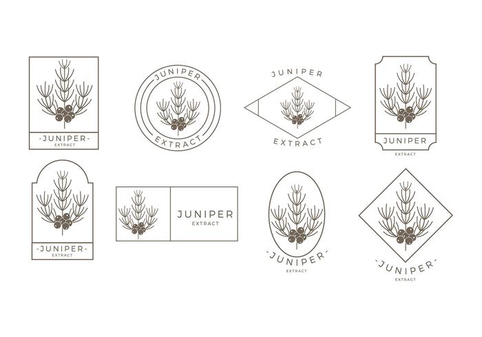 Juniper Outline Logo Gratis Vector