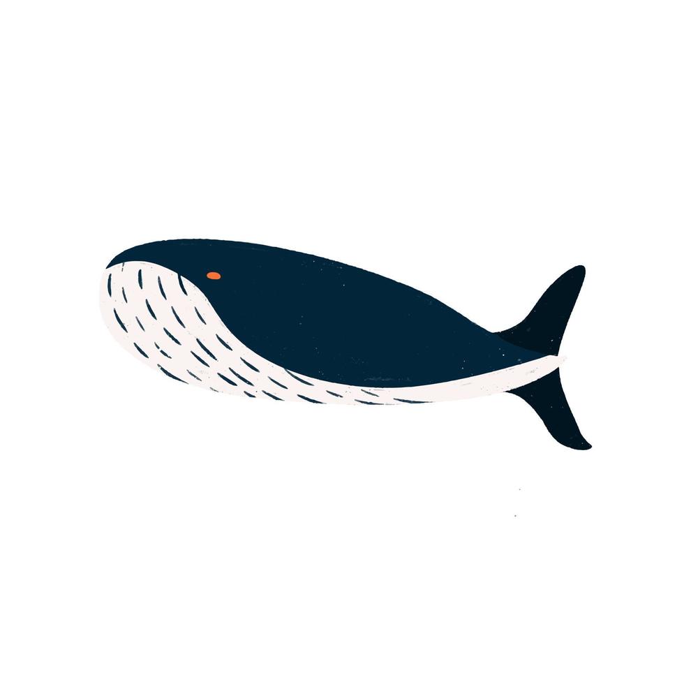 killerwale, säugetier, meereslebewesen handgezeichnet vektor