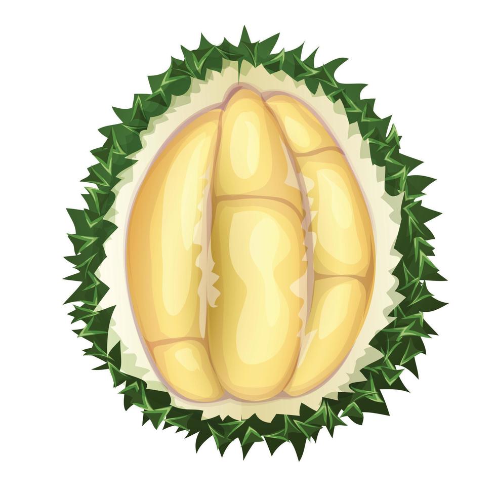 Draufsicht Durian-Symbol, Cartoon-Stil vektor