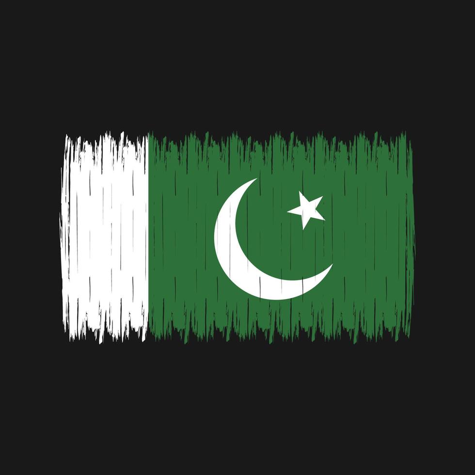 pakistan flaggborste vektor