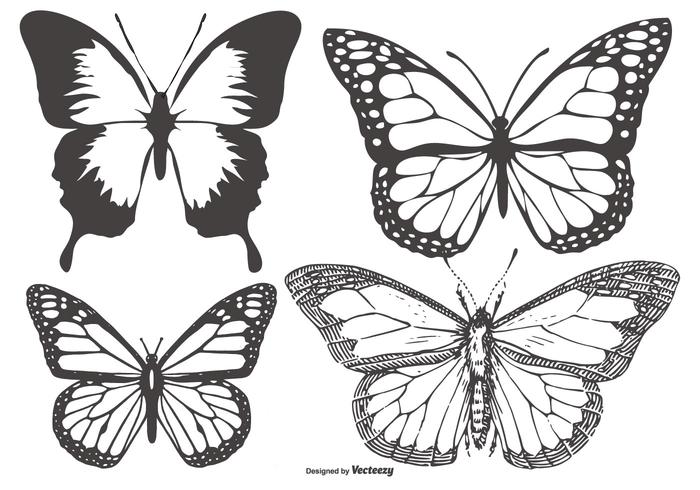 Weinlese-Schmetterling / Mariposa Sammlung vektor