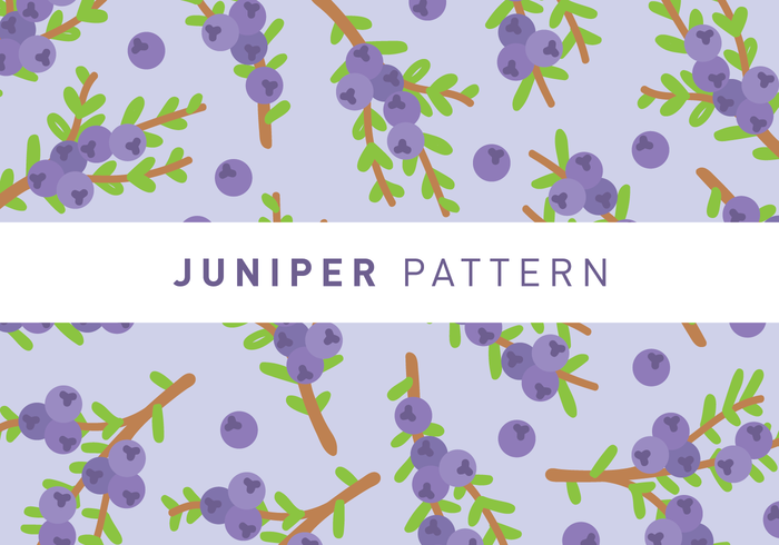 Juniper Pattern Bakgrund vektor