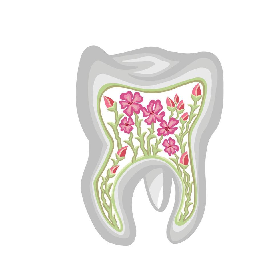 friska oral flora, tand, Färg vektor