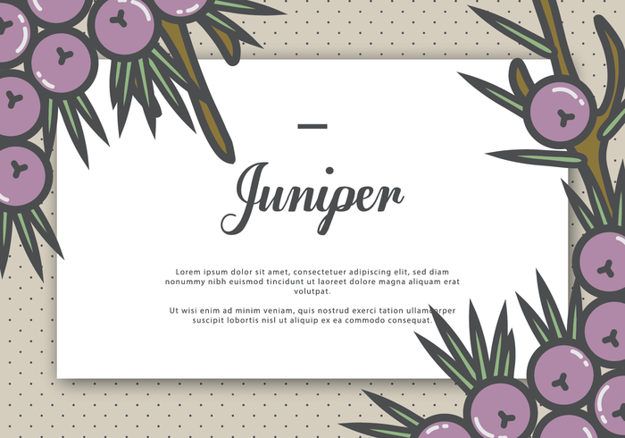 Juniper hälsningskort vektor