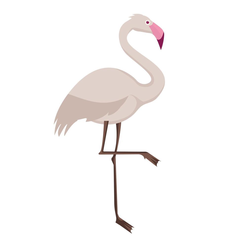 Flamingo-Vogel-Tier-Vektor-Illustration-Symbol vektor