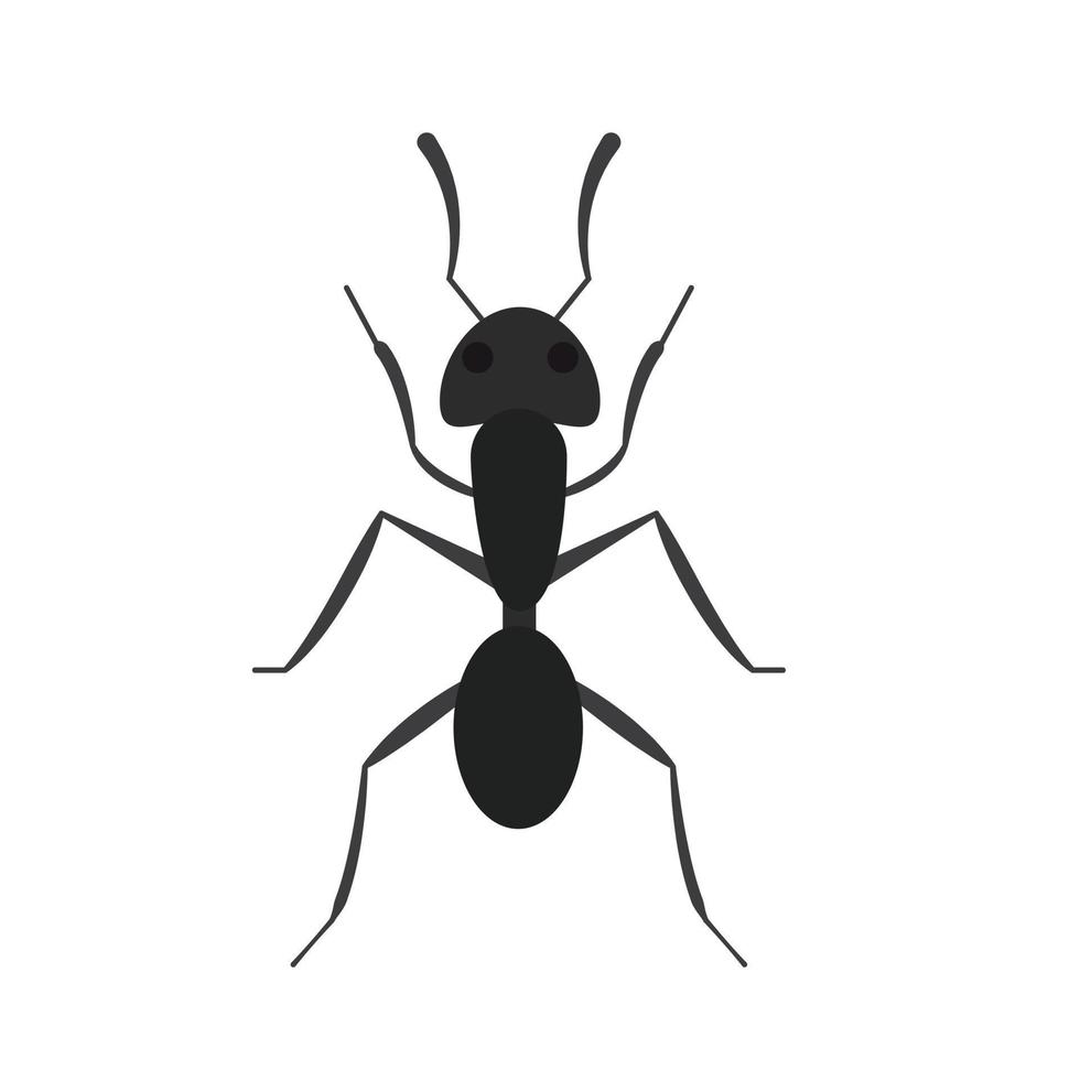 Ameise Tier Vektor Illustration Symbolbild