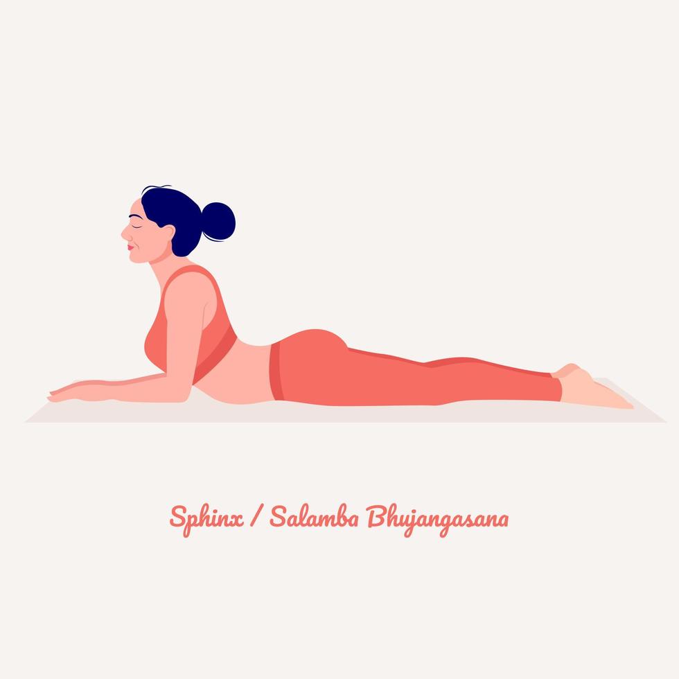 Sphinx-Yoga-Pose. junge Frau, die Yoga-Übungen praktiziert. Frau Workout Fitness, Aerobic und Übungen. vektor