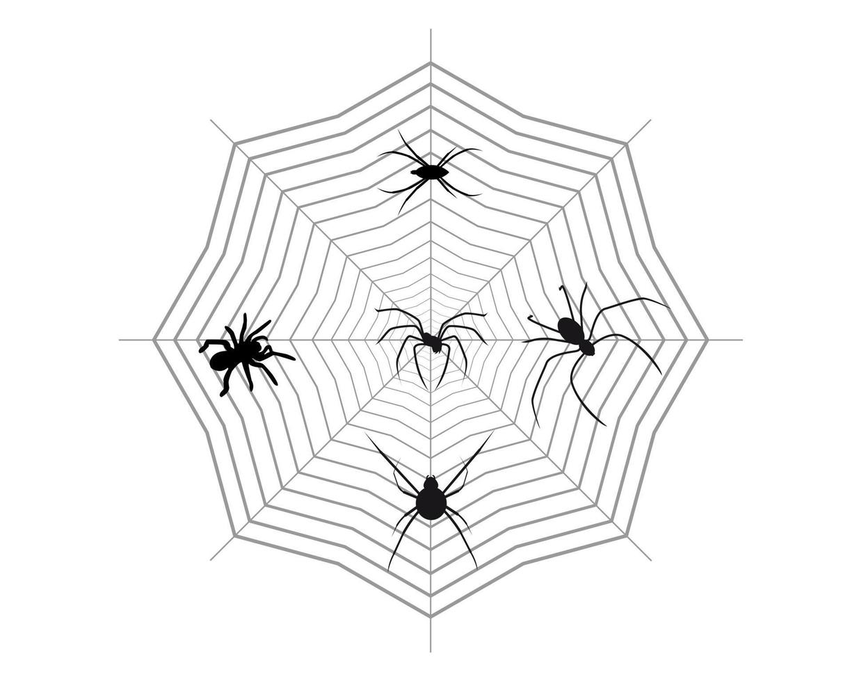 annorlunda Spindel på en webb på en vit bakgrund vektor