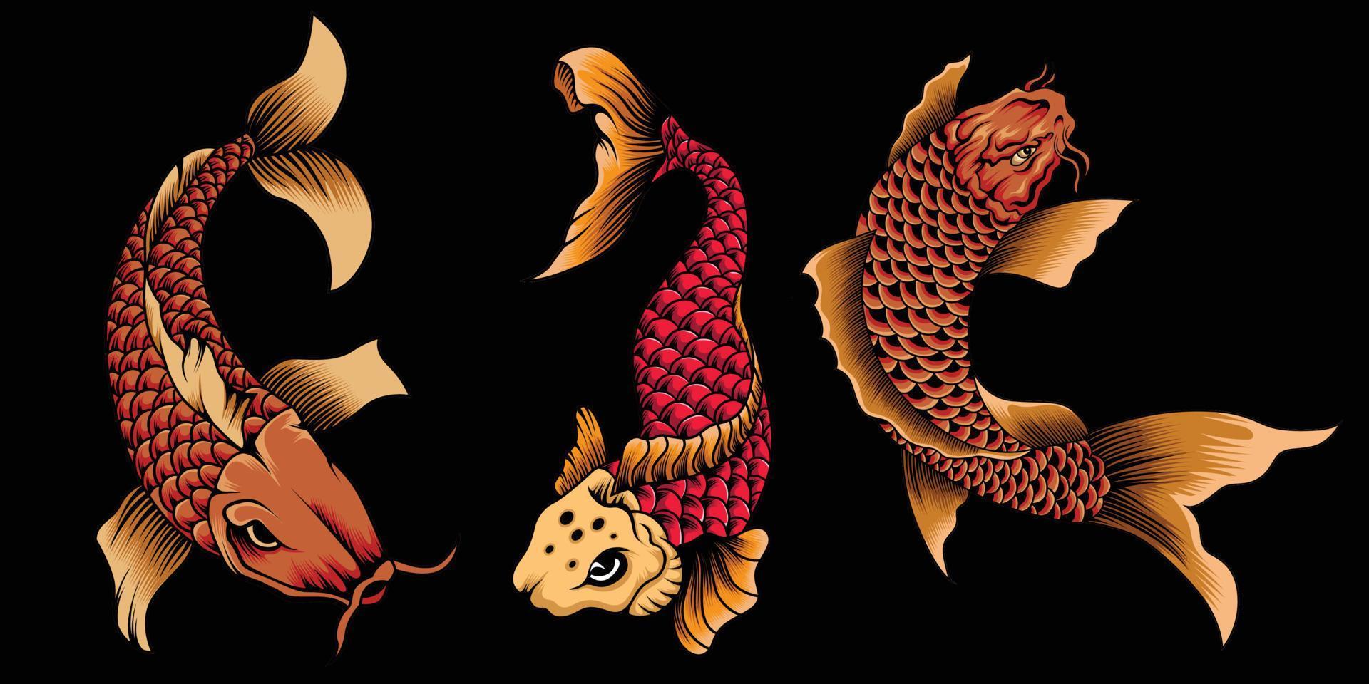 koi fisk illustration uppsättning i detaljerad stil vektor