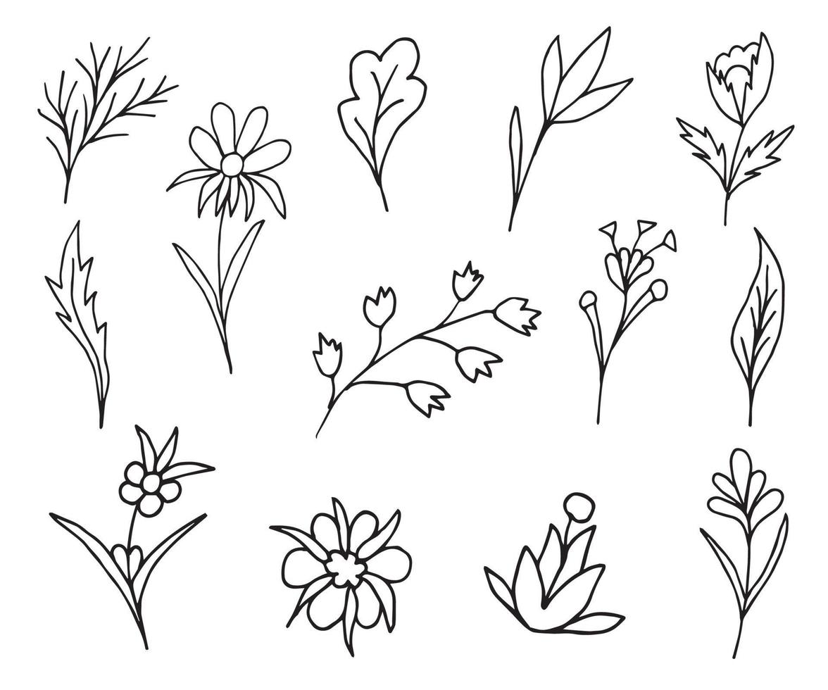 ritad för hand vektor klotter uppsättning av blommig element för design. teckning en svart linje på en vit bakgrund, blommor, grenar, löv.