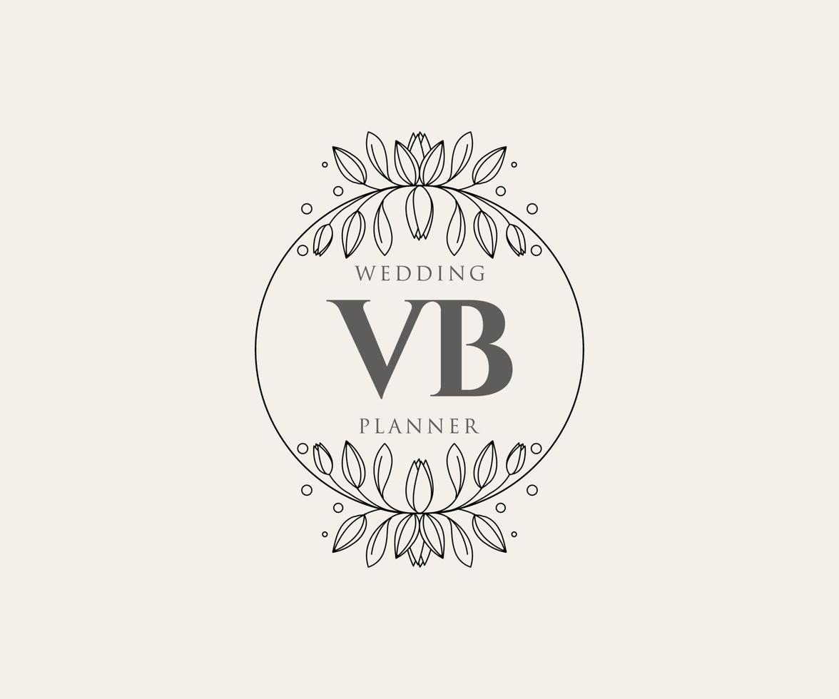 vb initialen brief hochzeitsmonogramm logos sammlung, handgezeichnete moderne minimalistische und florale vorlagen für einladungskarten, save the date, elegante identität für restaurant, boutique, café im vektor