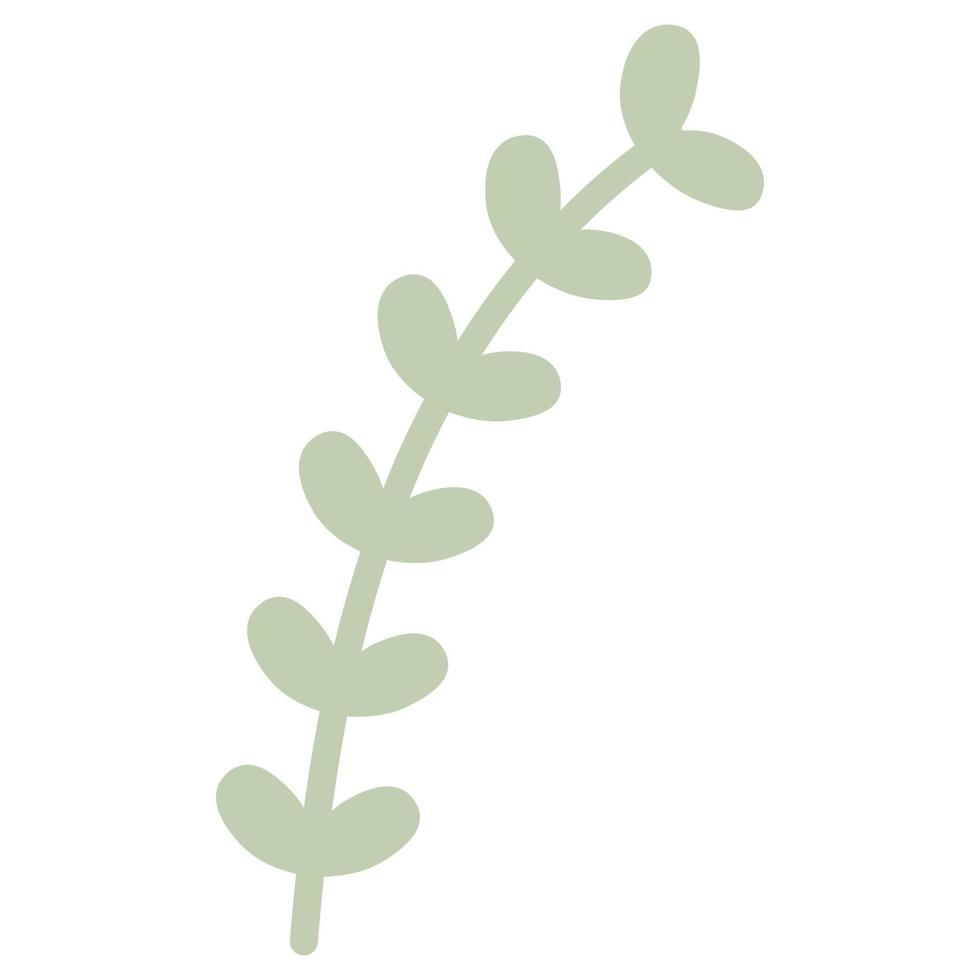 dekorative Blattpflanze flach. Vektor-Illustration vektor