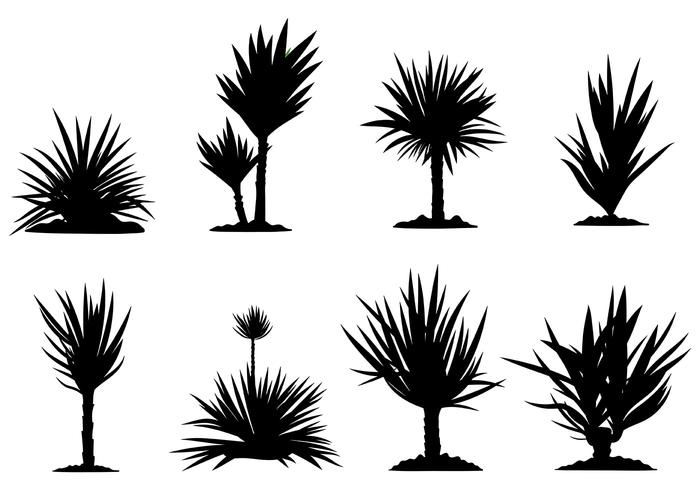 Freie Yucca Icons Vector