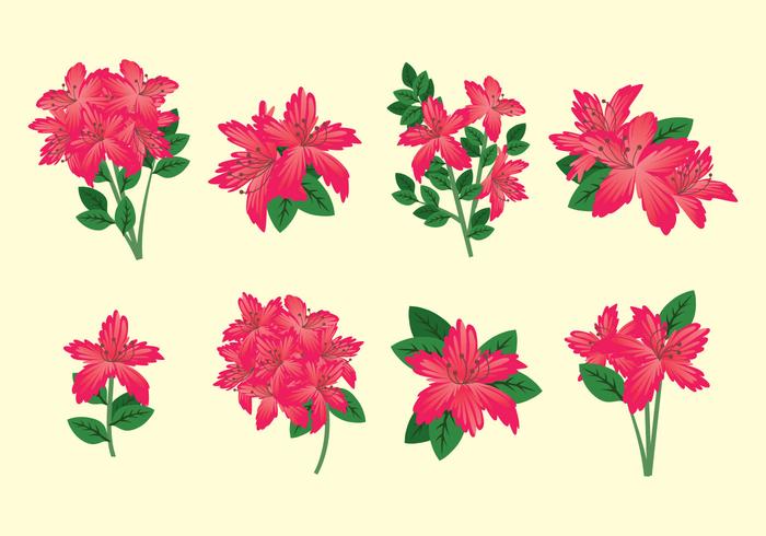 Rhododendronvektor vektor