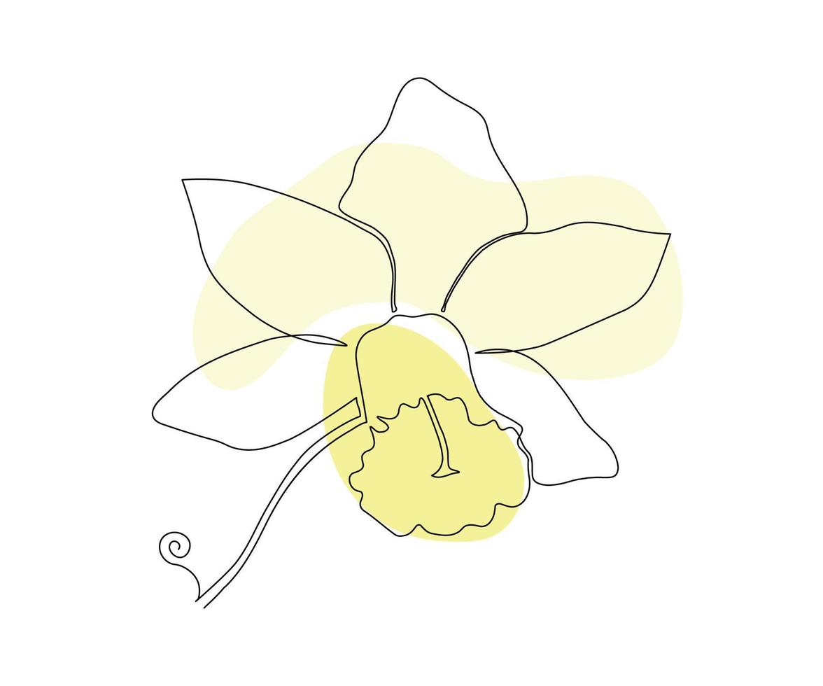 Die Narzissenblüte ist in einem minimalistischen Stil in der Technik einer einzelnen Linie, einer Monolinie, von Hand gezeichnet. kosmetiksymbol, schönheitssalonlogo vektor