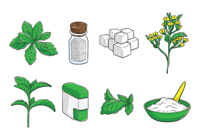 Free Hand Drawn Stevia Vector