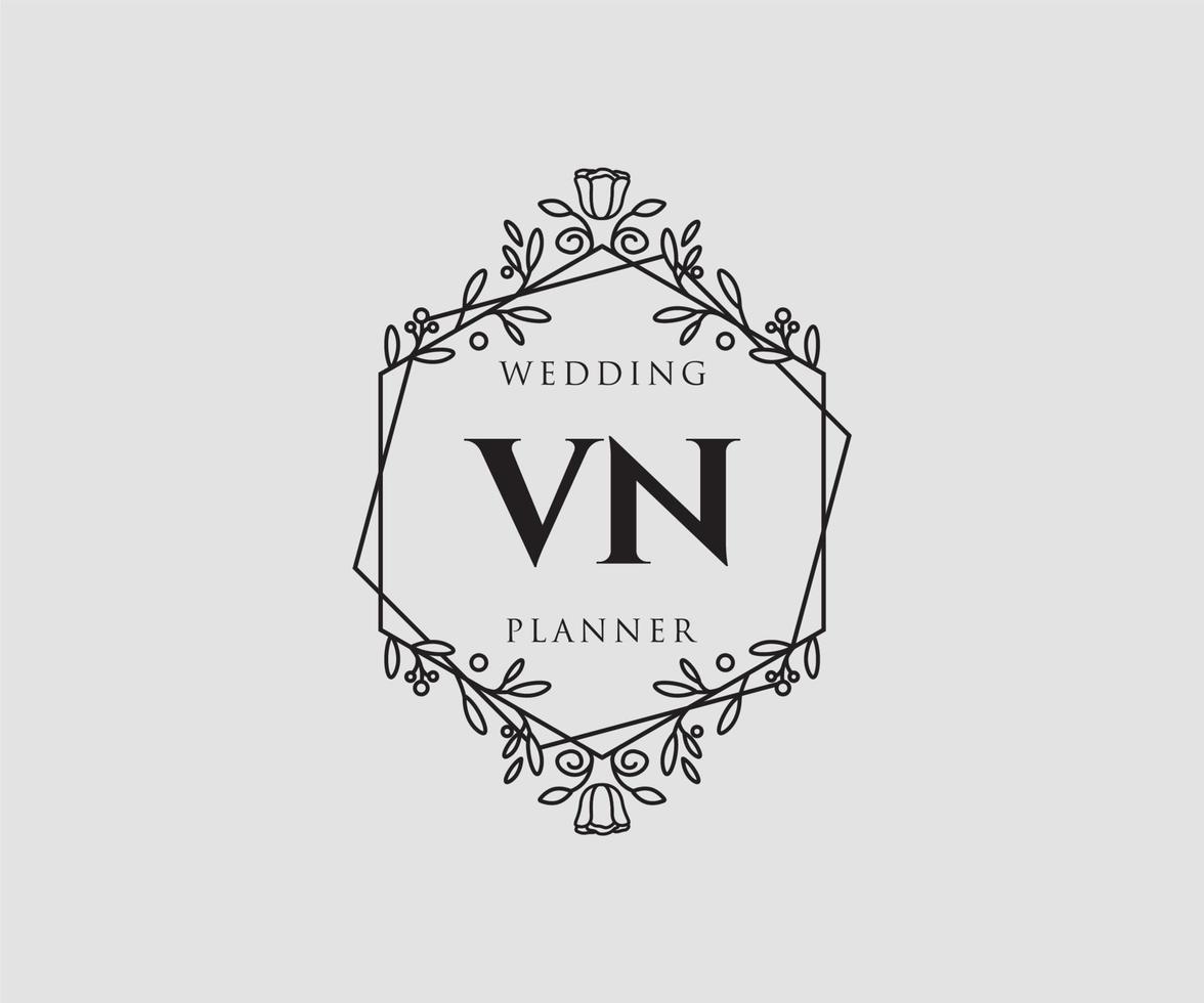 vn initialer brev bröllop monogram logotyper samling, hand dragen modern minimalistisk och blommig mallar för inbjudan kort, spara de datum, elegant identitet för restaurang, boutique, Kafé i vektor