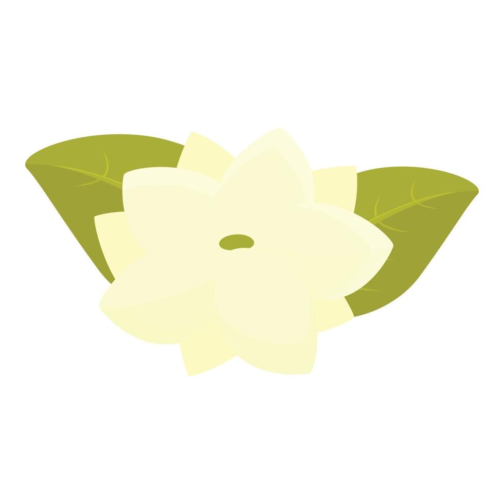 filippinerna blomma ikon tecknad serie vektor. kultur resa vektor