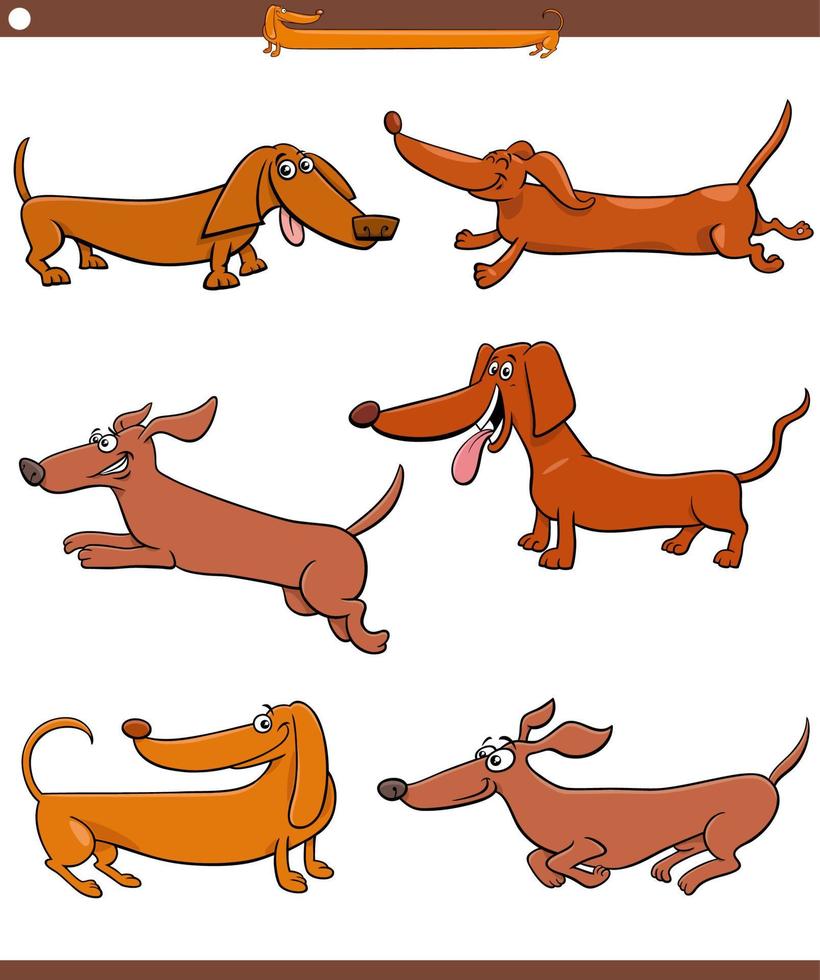 tecknad serie taxar renrasig hundar djur- tecken uppsättning vektor