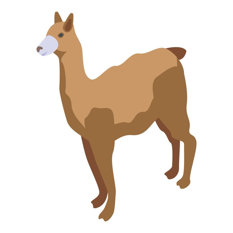 Lama-Symbol isometrischer Vektor. Alpaka-Tier vektor