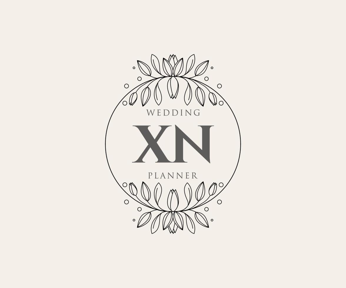 xn initialer brev bröllop monogram logotyper samling, hand dragen modern minimalistisk och blommig mallar för inbjudan kort, spara de datum, elegant identitet för restaurang, boutique, Kafé i vektor