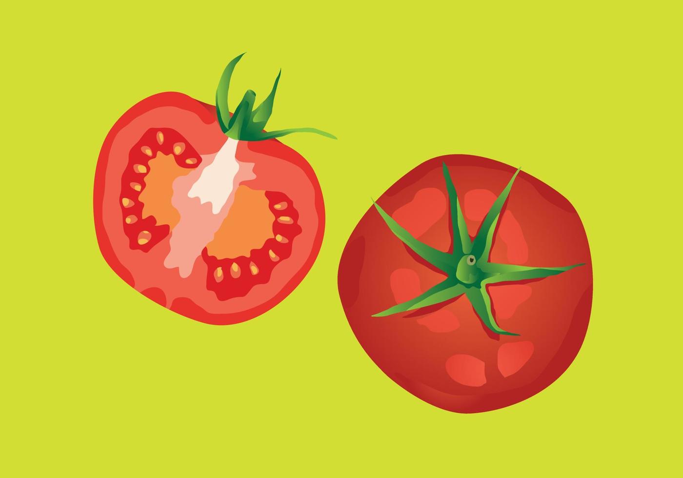 Draufsicht des frischen Tomatenvektors vektor