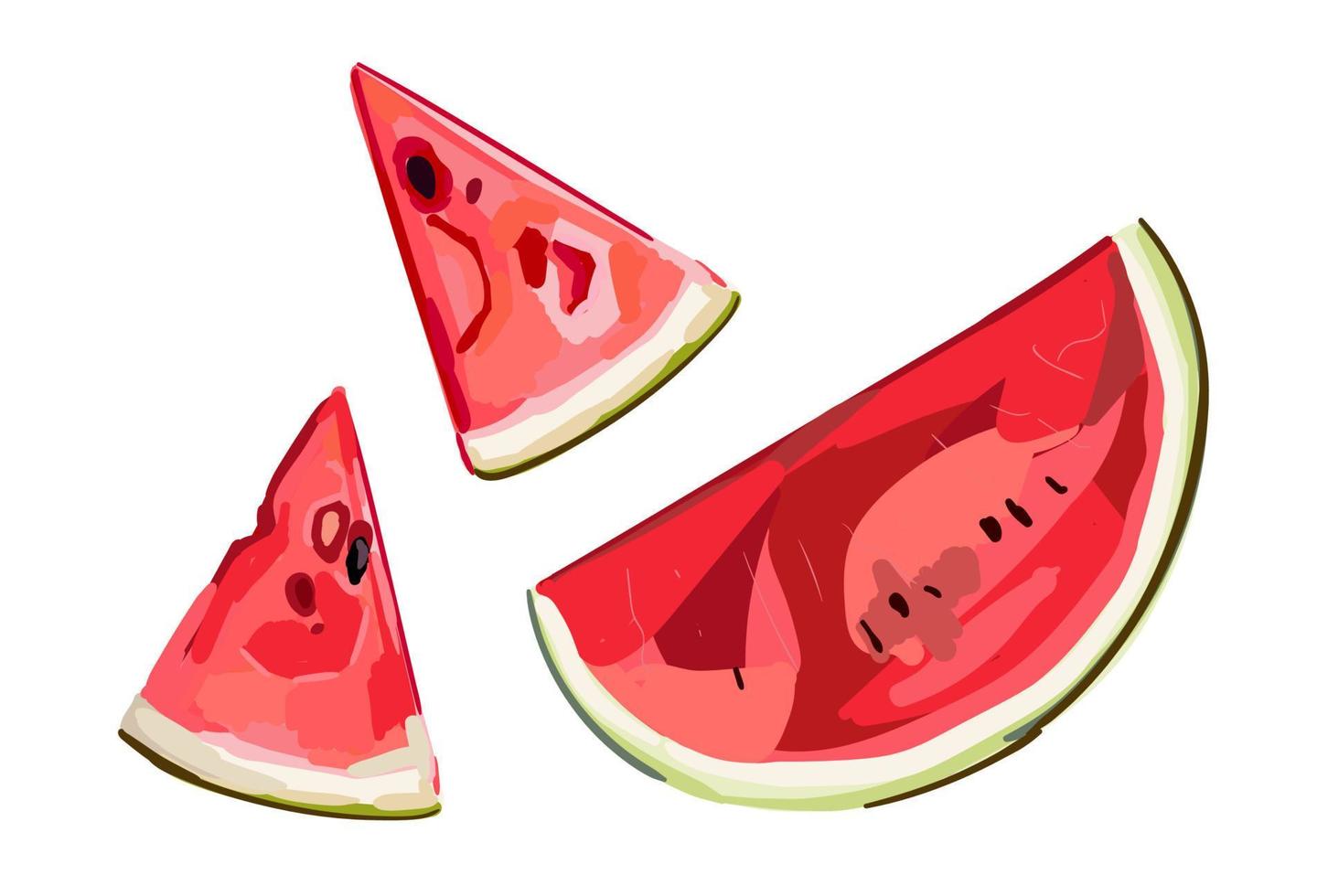 Wassermelone Hälfte und Scheiben. rotes Wassermelonenstück mit Biss. Illustration der Wassermelonen-Frische-Natur. Cartoon-Stil. vektor
