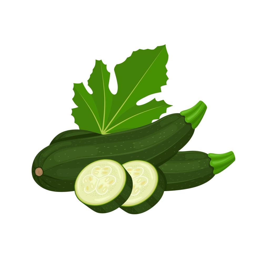 Vektor-Illustration, Zucchini mit Scheiben und Blättern, isoliert auf weißem Hintergrund. vektor