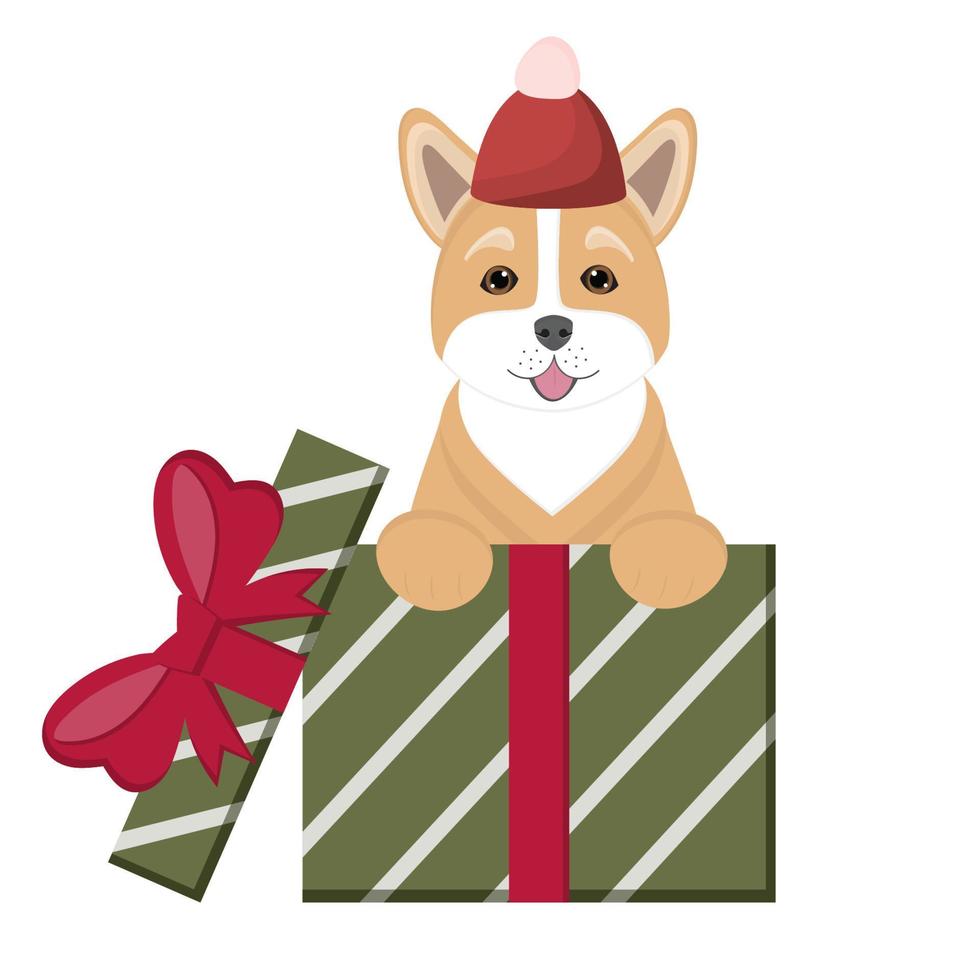 Hundecorgi sitzt in Geschenkboxen. alles gute zum geburtstag karte. süße haustiere für glückwünsche zum geburtstag, neujahr, weihnachten. illustration für hundeliebhaber, tierkliniken, tierhandlungen. vektor