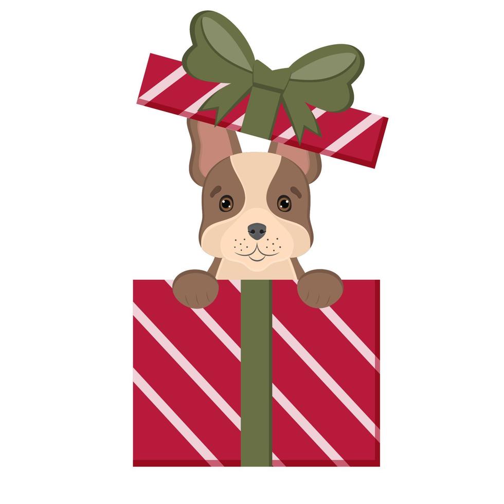 hund franska bulldogg sitter i gåva lådor. Lycklig födelsedag kort. söt husdjur för congratulation med födelsedag, ny år, jul. illustration för hund älskare, veterinär kliniker, sällskapsdjur butiker. vektor