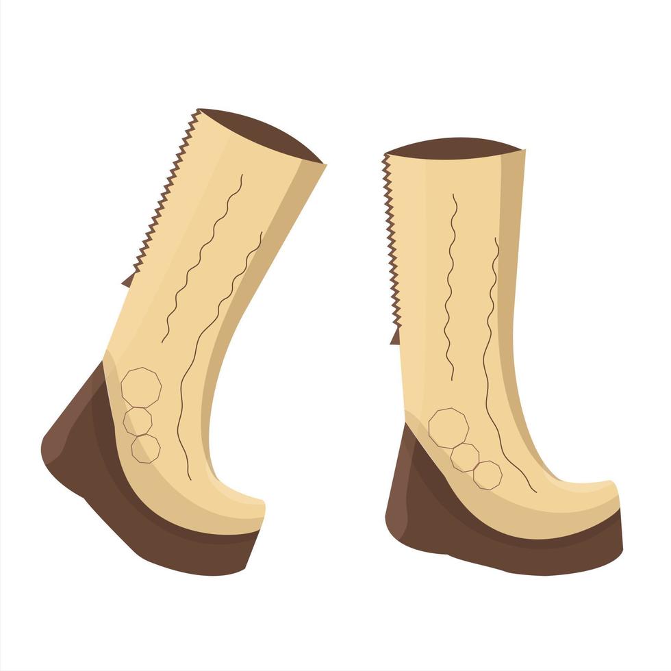 kvinnor hög stövlar, skor höst vinter. vektor illustration.