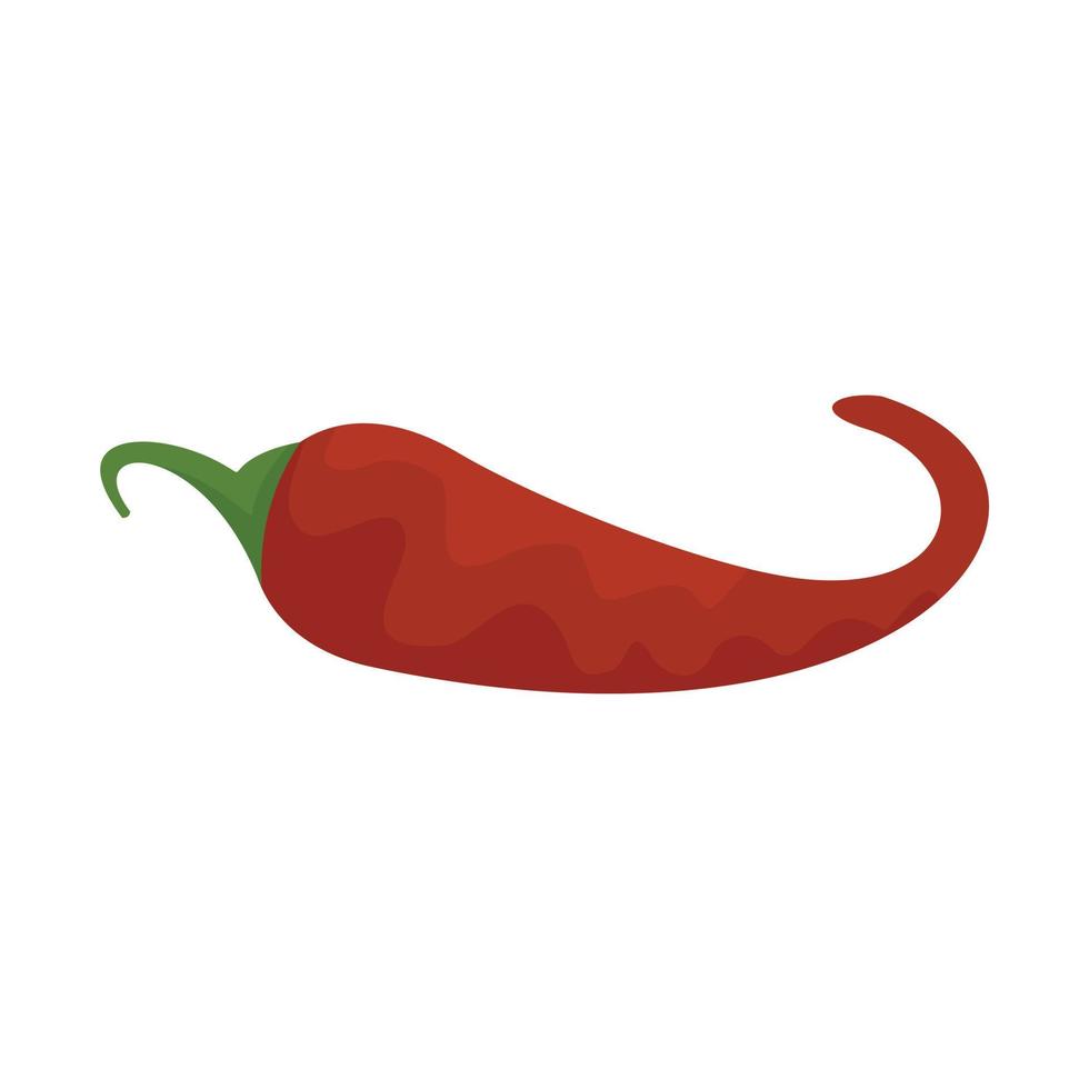 kök chili peppar ikon platt isolerat vektor