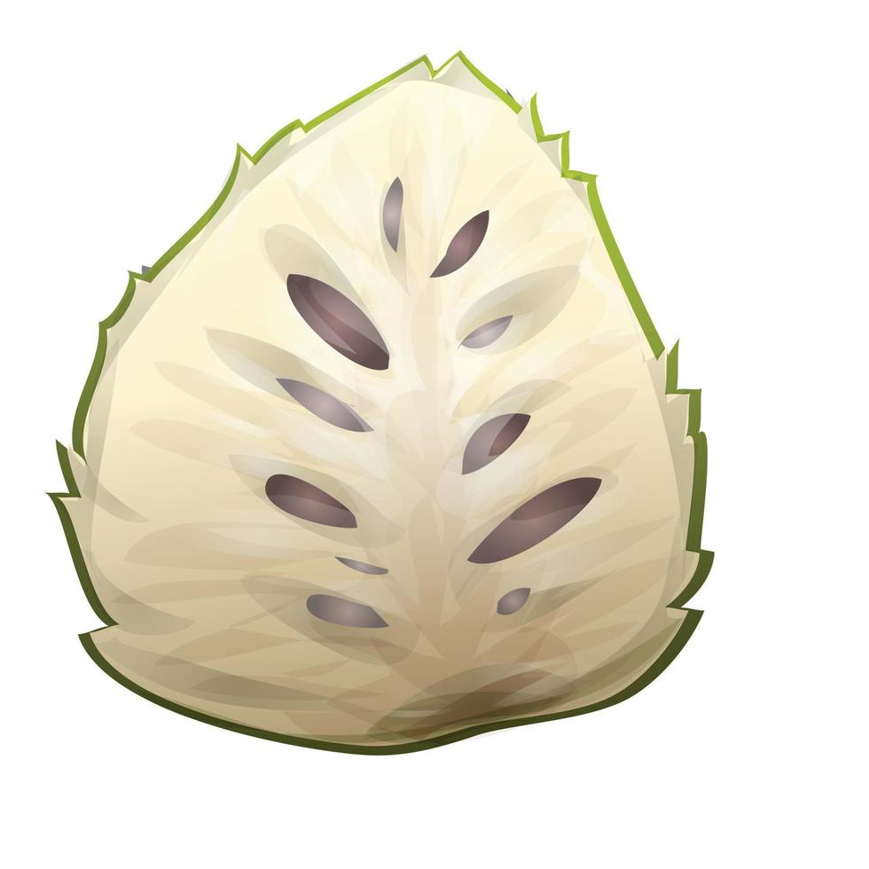 färsk Durian ikon tecknad serie vektor. soursop annona vektor