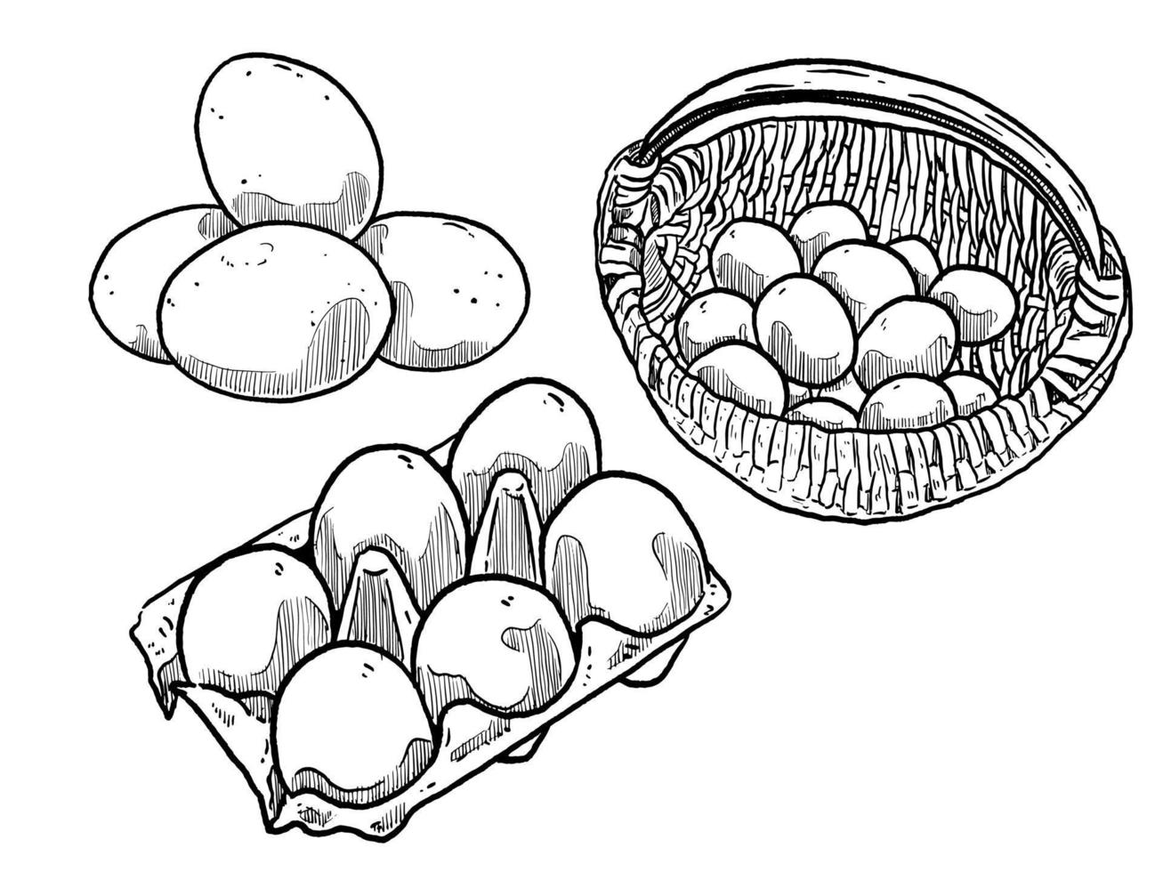 uppsättning av skiss och hand dragen ägg och korg i ägg vektor