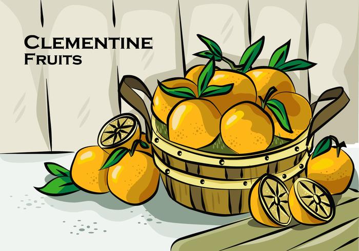 Clementine Auf Korb Vektor-Illustration vektor