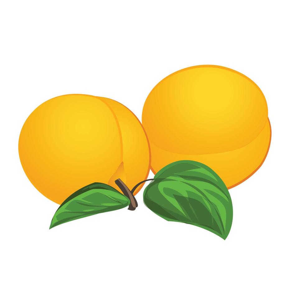 Aprikosen-Symbol Cartoon-Vektor. Pfirsich vektor