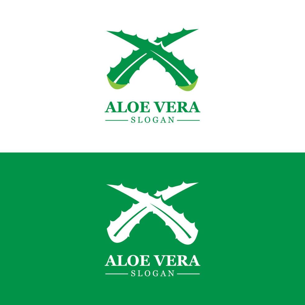 aloe vera logotyp, hälsa blad vektor, design lämplig för skönhet salong, organisk återvinning, hud hälsa blad vektor