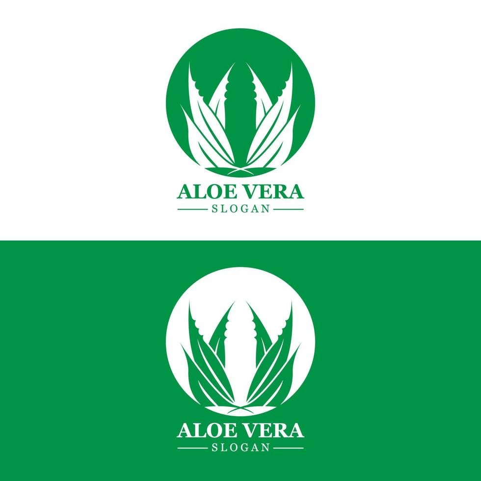 aloe vera logotyp, hälsa blad vektor, design lämplig för skönhet salong, organisk återvinning, hud hälsa blad vektor