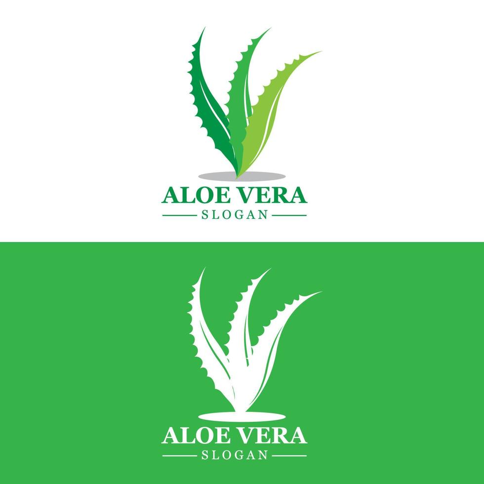 aloe vera logo, gesundheitsblattvektor, design geeignet für schönheitssalon, organisches recycling, hautgesundheitsblatt vektor