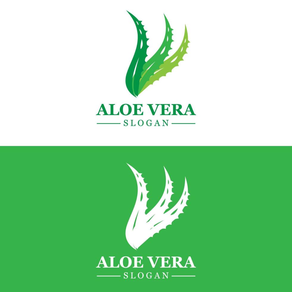 aloe vera logotyp, hälsa blad vektor, design lämplig för skönhet salong, organisk återvinning, hud hälsa blad vektor