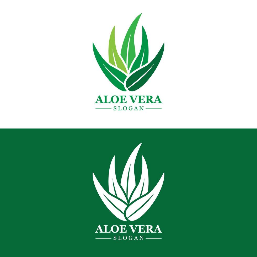 aloe vera logo, gesundheitsblattvektor, design geeignet für schönheitssalon, organisches recycling, hautgesundheitsblatt vektor