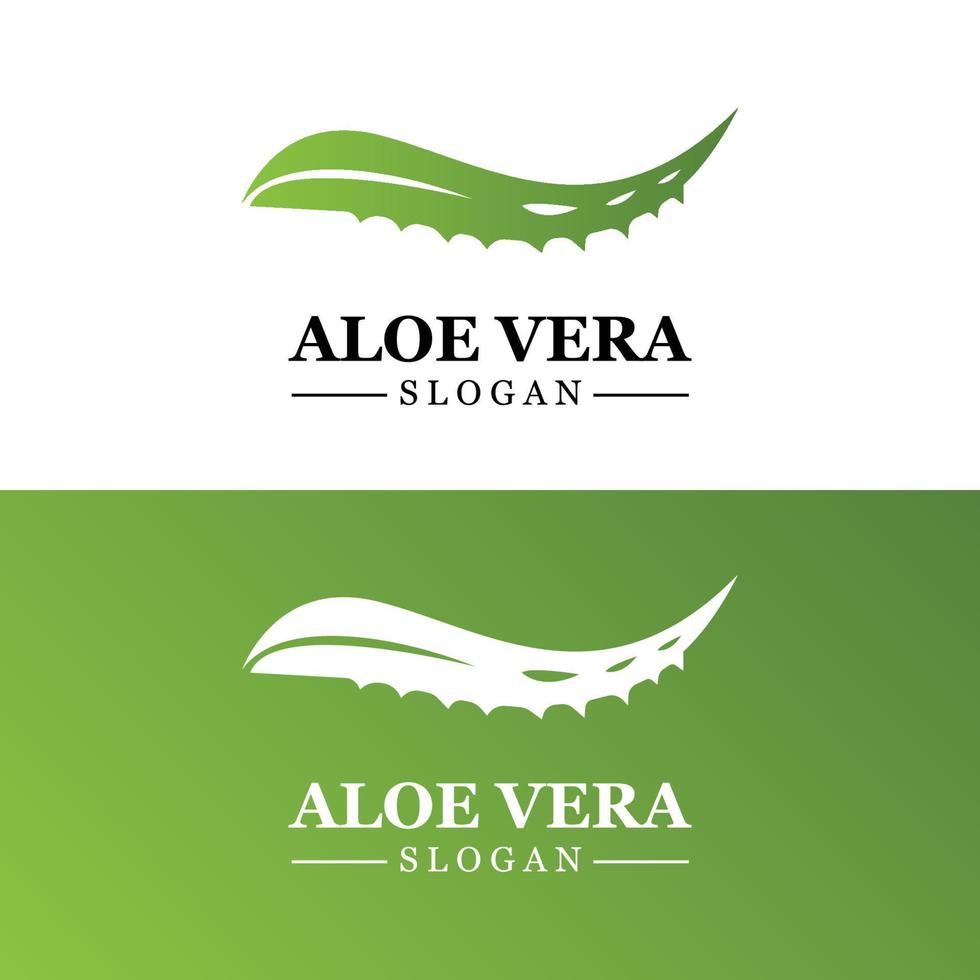 aloe vera logotyp, hälsa blad vektor, design lämplig för skönhet salong, organisk återvinning, hud hälsa blad vektor