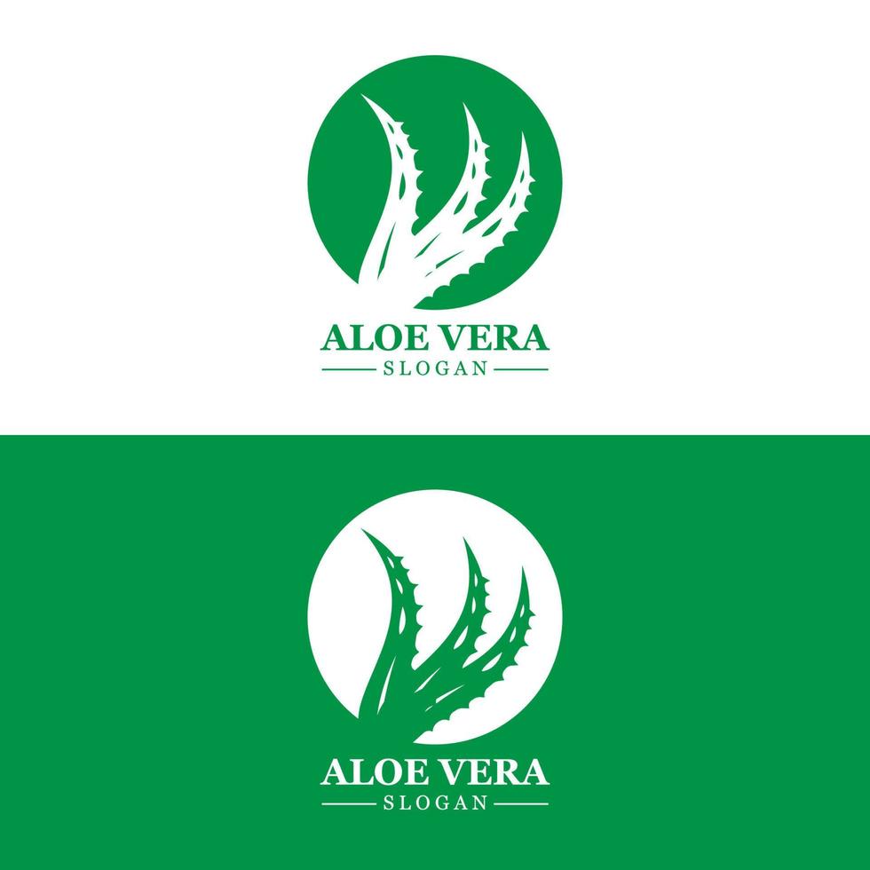 aloe vera logo, gesundheitsblattvektor, design geeignet für schönheitssalon, organisches recycling, hautgesundheitsblatt vektor