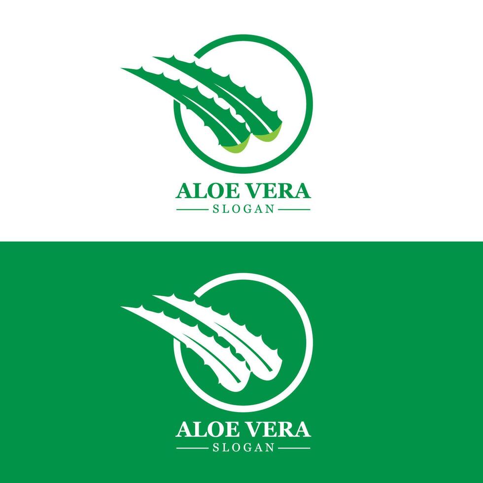 aloe vera logotyp, hälsa blad vektor, design lämplig för skönhet salong, organisk återvinning, hud hälsa blad vektor