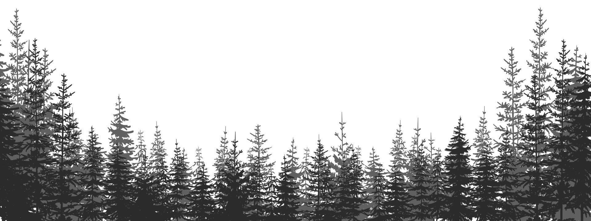 skog. skog landskap med svart och vit silhuetter av träd. vektor illustration