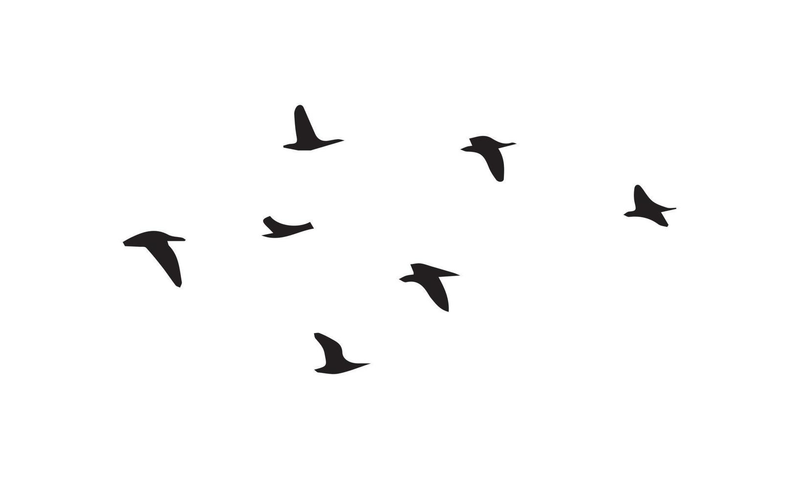 flygande fåglar siluett vektor
