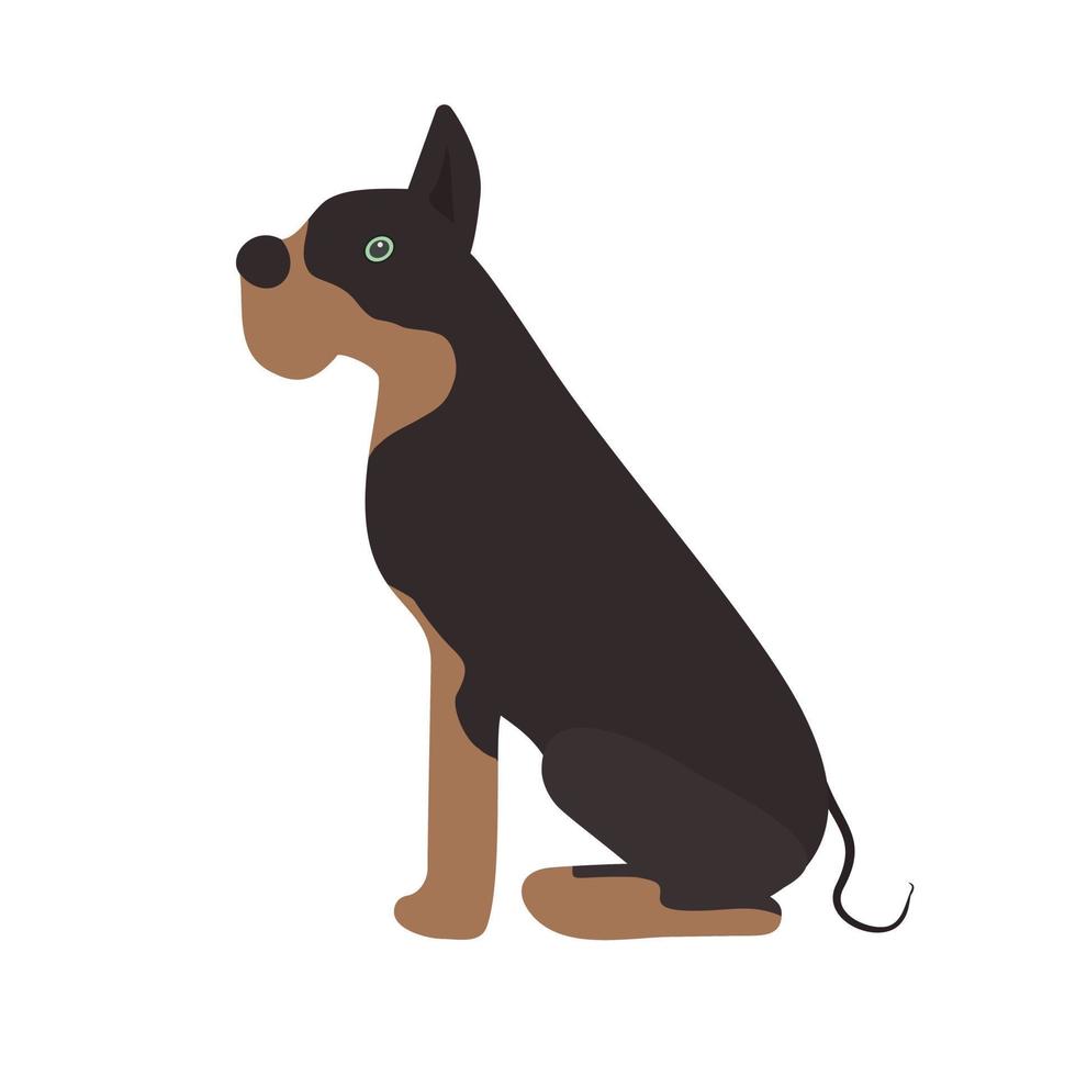 Hund Tier Vektor Illustration Symbolbild
