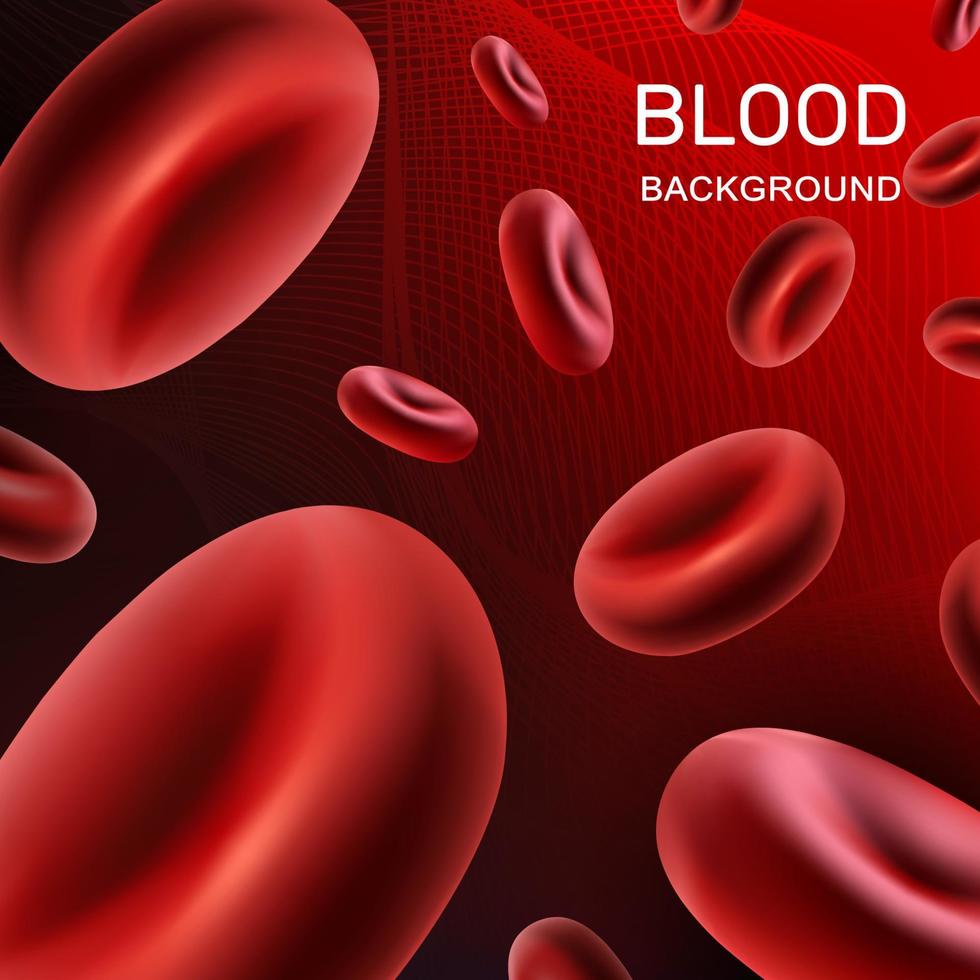 Blut mit roten Erythrozyten fließt durch die Venen und Gefäße einer Person. Spendertag, Bewusstsein für Anämie. roter Hintergrund. Vektor. vektor