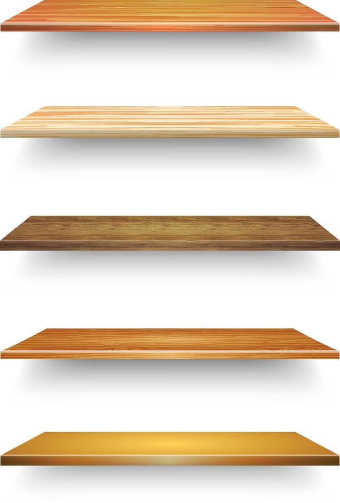 trä- platt planka, styrelse som är bifogad till en vägg, ram, etc., och på som objekt kan vara placerad, visa, monter. vektor